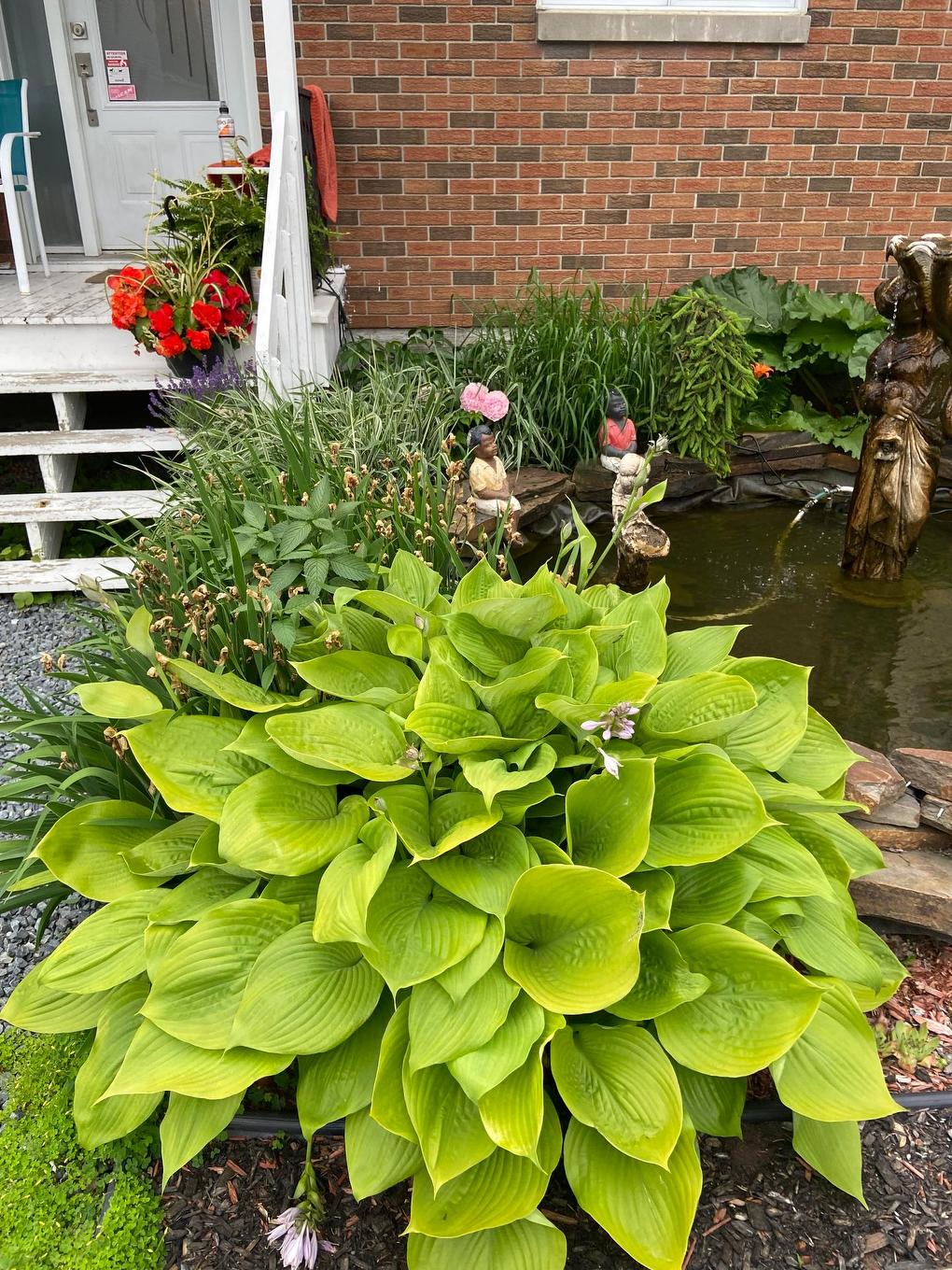 Backyard - 92 Rue Monseigneur-Rhéaume E., Rouyn-Noranda, QC - Outdoor