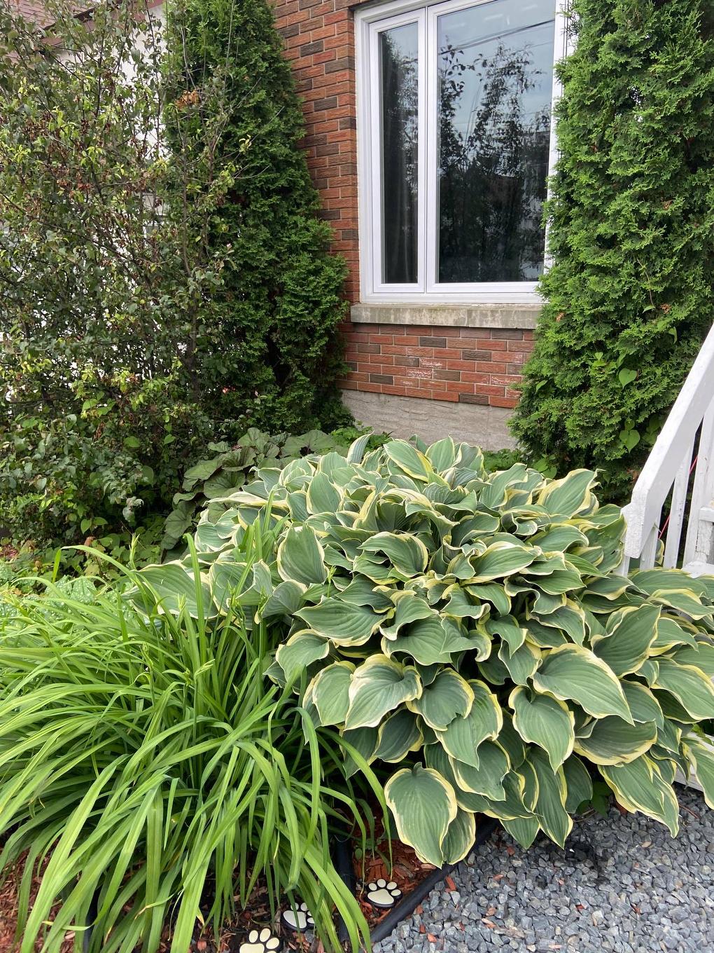 Backyard - 92 Rue Monseigneur-Rhéaume E., Rouyn-Noranda, QC - Outdoor