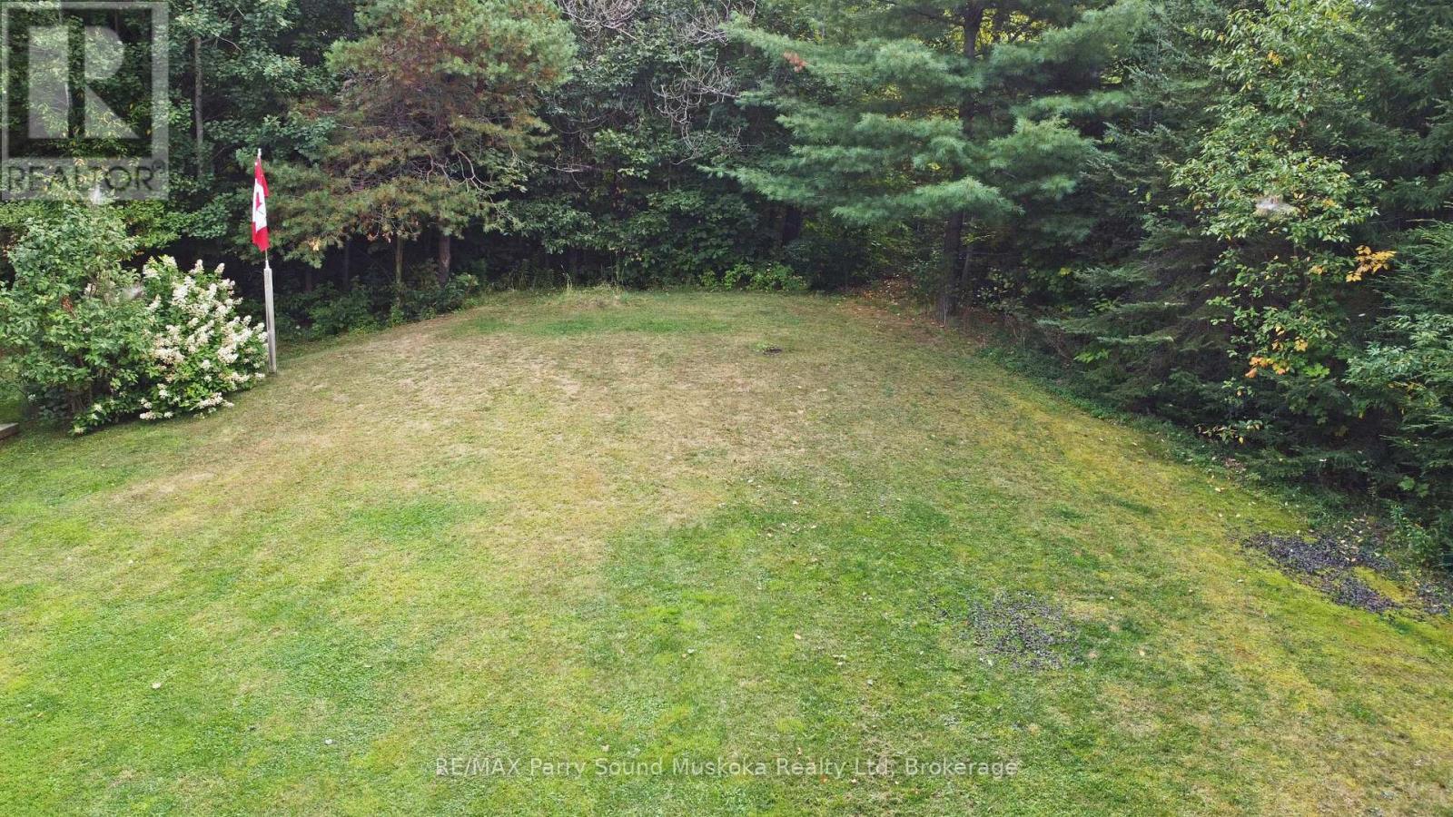 Level, well treed lot for privacy - 159 Boundary Spur Road, Whitestone (Dunchurch), ON - Outdoor