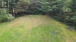 Level, well treed lot for privacy -