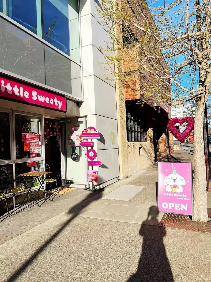 101-732 Broughton St, Victoria, BC