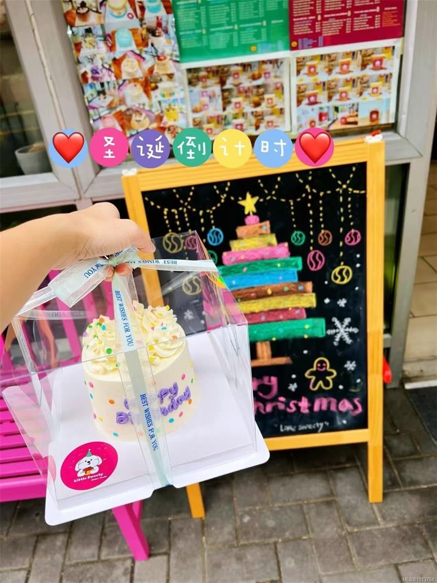 101-732 Broughton St, Victoria, BC