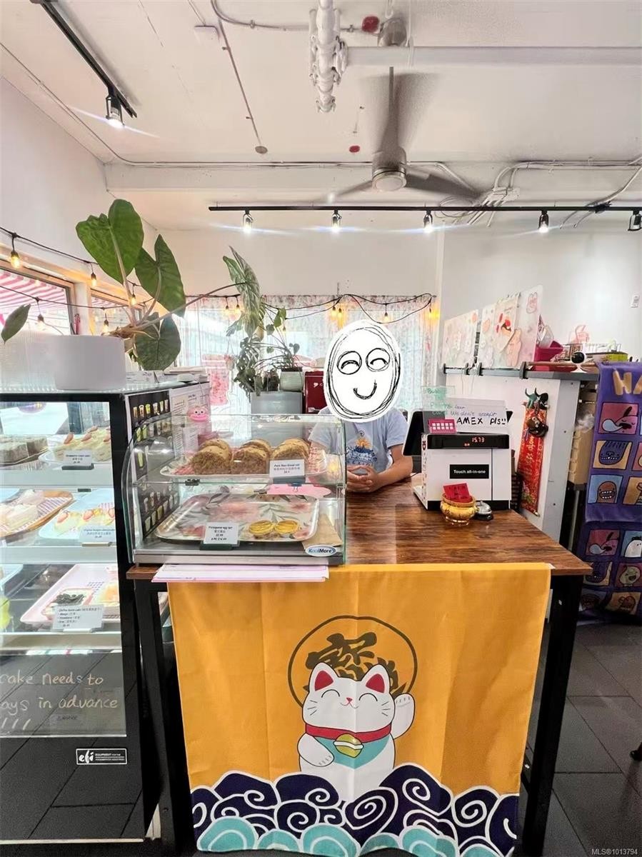 101-732 Broughton St, Victoria, BC