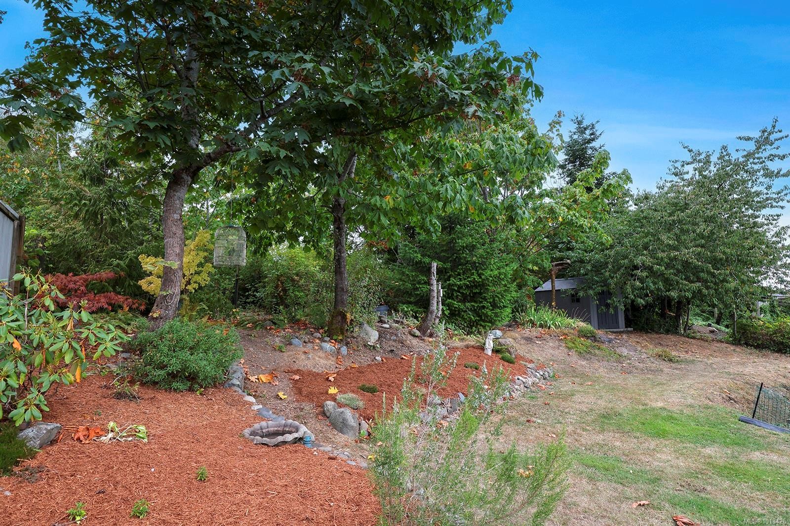 5629 1St St, Union Bay, BC