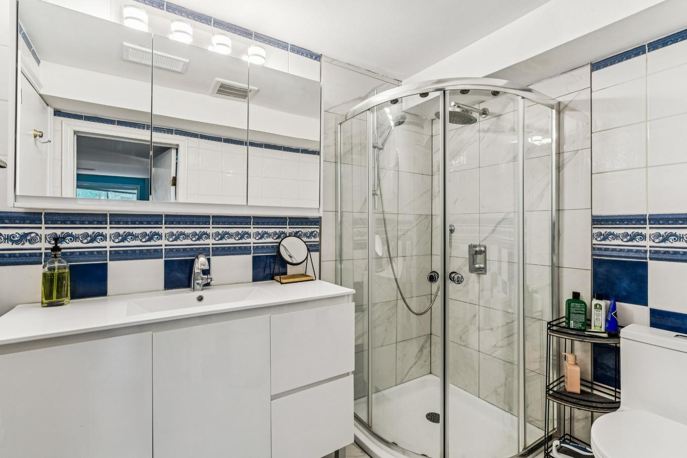 Salle de bains - 3125 Rue Cherrier, Montréal (L'Île-Bizard/Sainte-Geneviève), QC - Indoor Photo Showing Bathroom