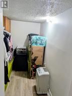 Lower level bedroom walk in closet -