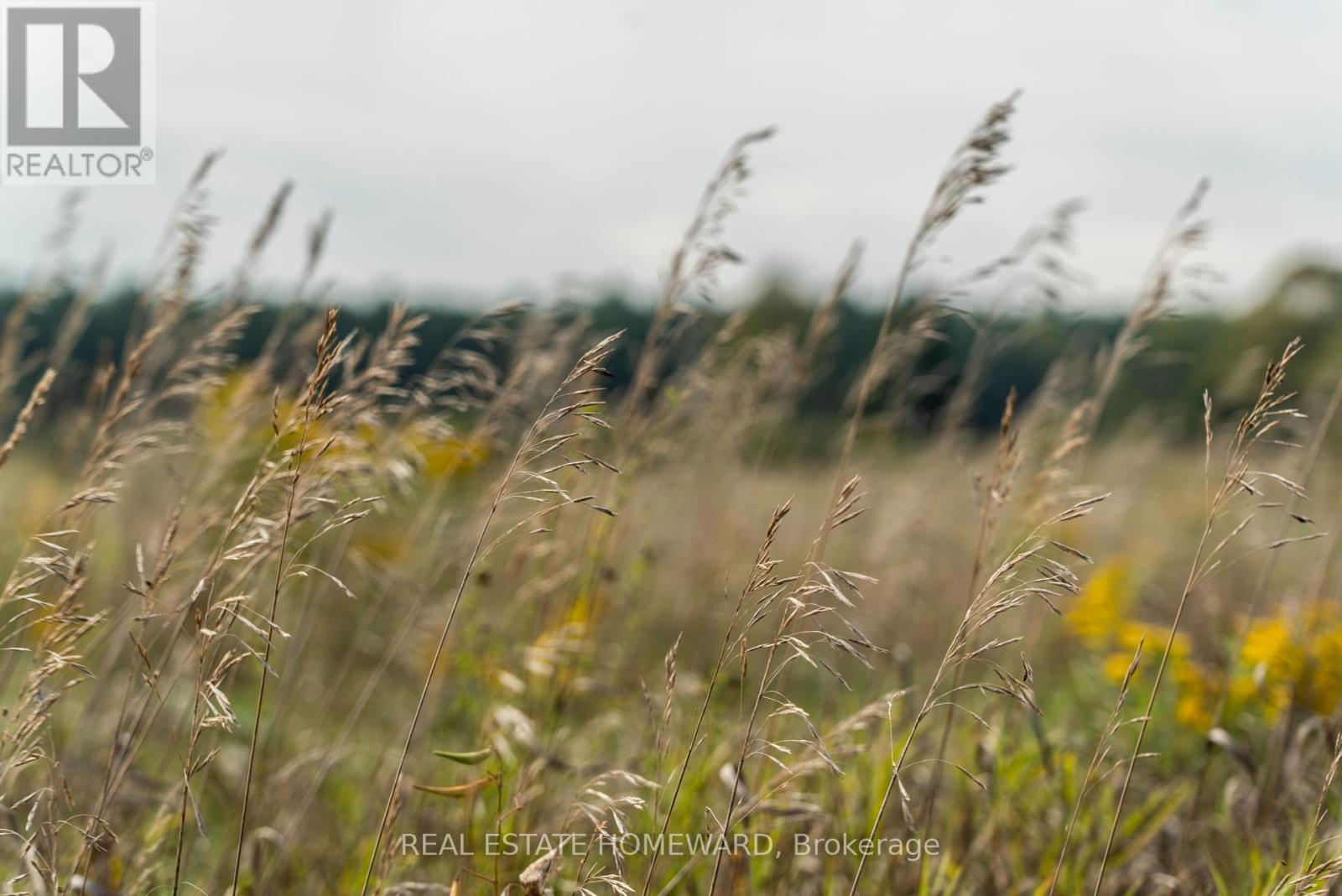 1430 County Rd 50 S, Adjala-Tosorontio, ON