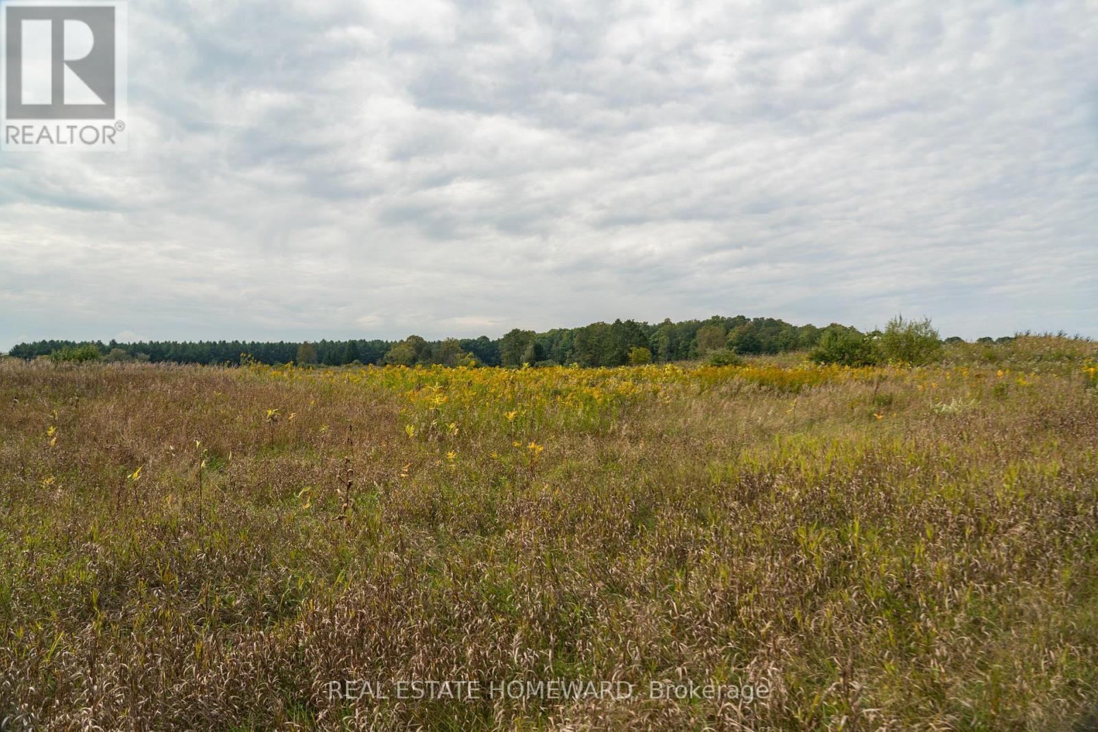 1430 County Rd 50 S, Adjala-Tosorontio, ON