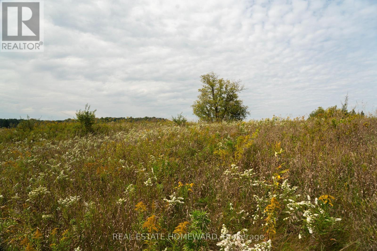 1430 County Rd 50 S, Adjala-Tosorontio, ON