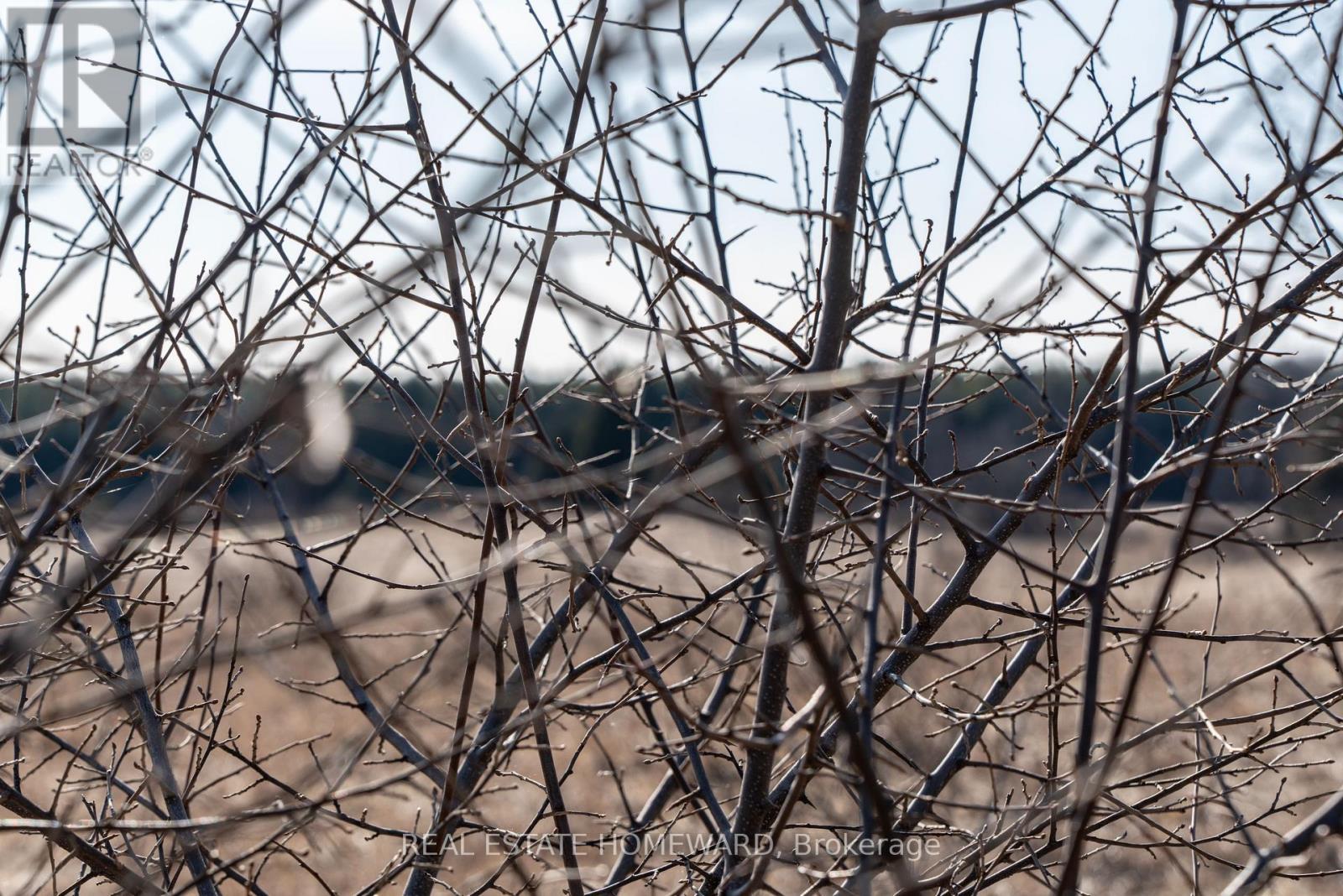 1430 County Rd 50 S, Adjala-Tosorontio, ON