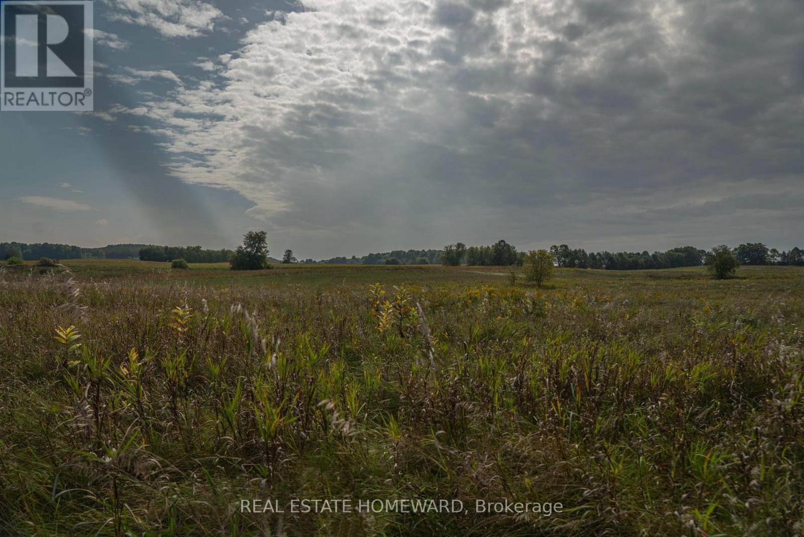 1430 County Rd 50 S, Adjala-Tosorontio, ON