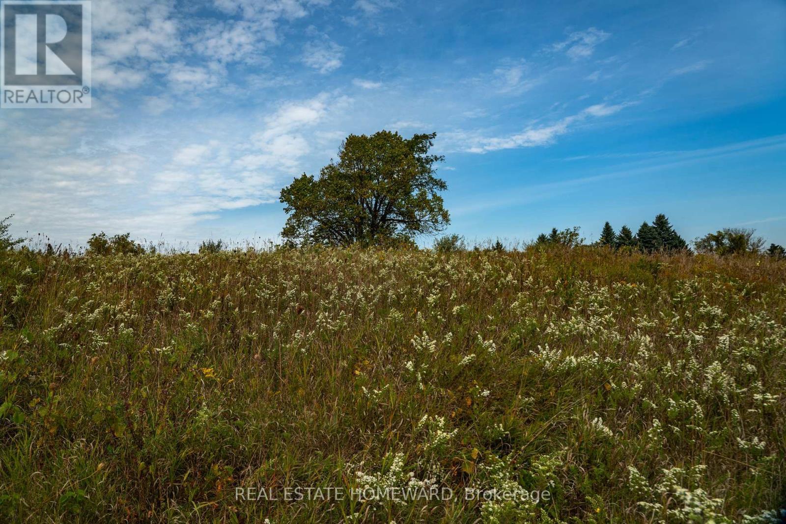 1430 County Rd 50 S, Adjala-Tosorontio, ON