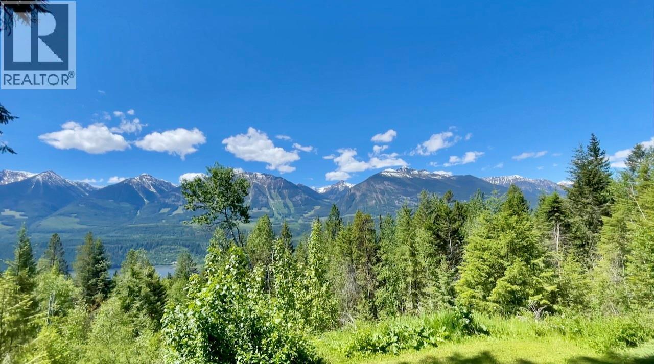 1445 Black Bear Drive, Golden, BC - Outdoor With View