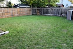 Back Yard -