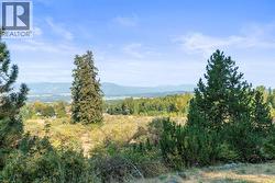 View from Back Yard -