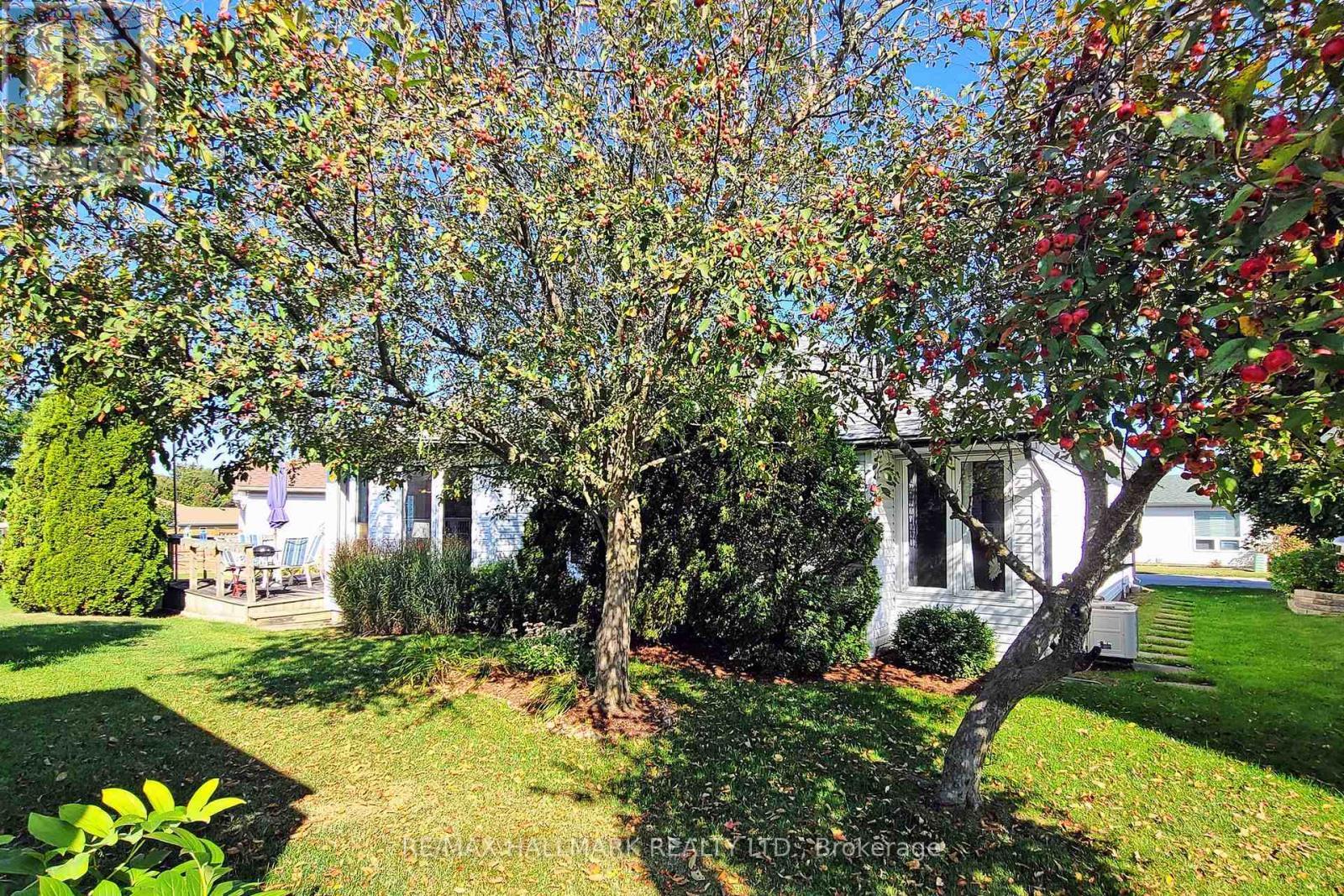 8 Greenfield Place, Wilmot, ON - Outdoor