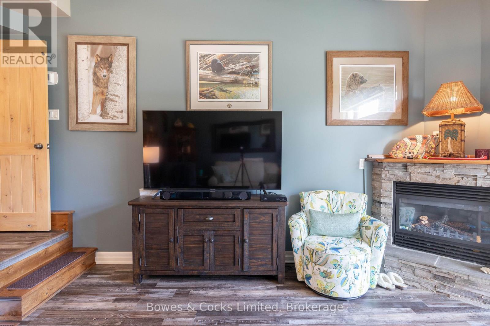 18 - 1579 Anstruther Lake Road, North Kawartha, ON - Indoor Photo Showing Living Room With Fireplace