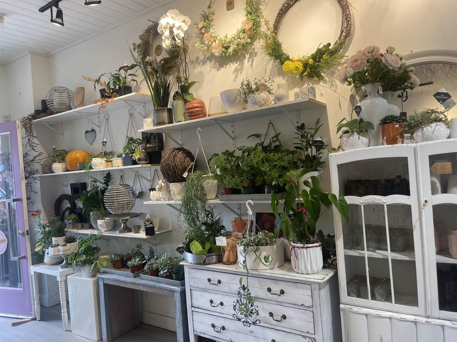 101 33721 South Fraser Way, Abbotsford, BC