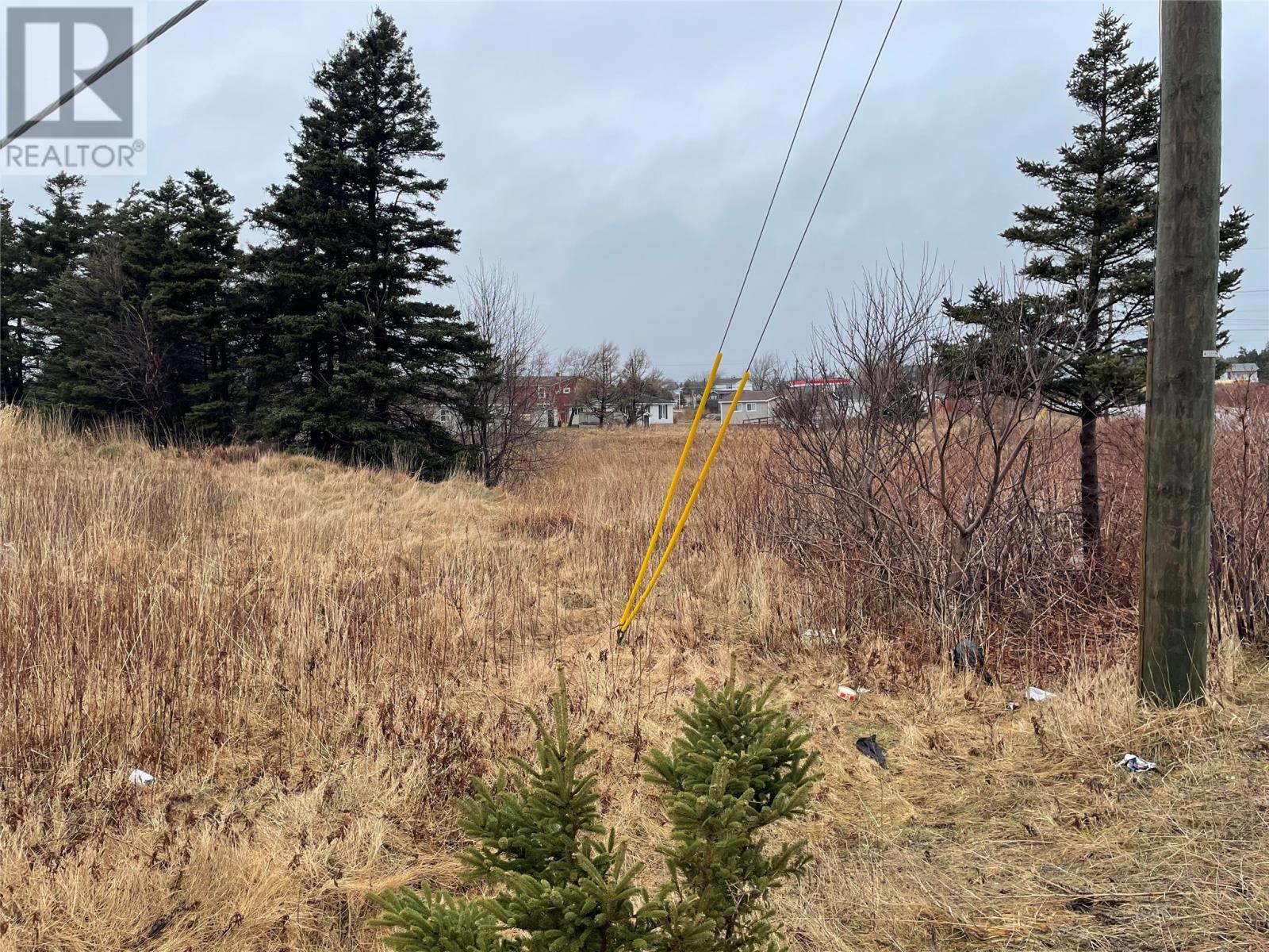 93 West Street And 17 Boland Drive, Stephenville, NL