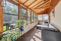 Sunroom wrapped in nature -
