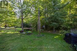 Level treed yard -