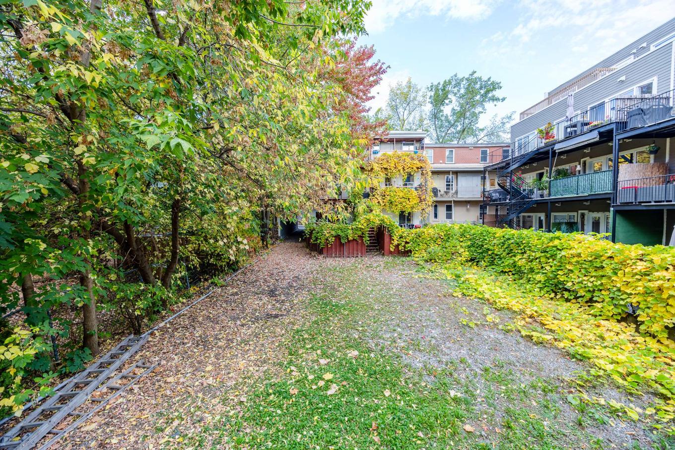 Backyard - 3-1319 Rue Ste-Catherine E., Montréal (Ville-Marie), QC - Outdoor