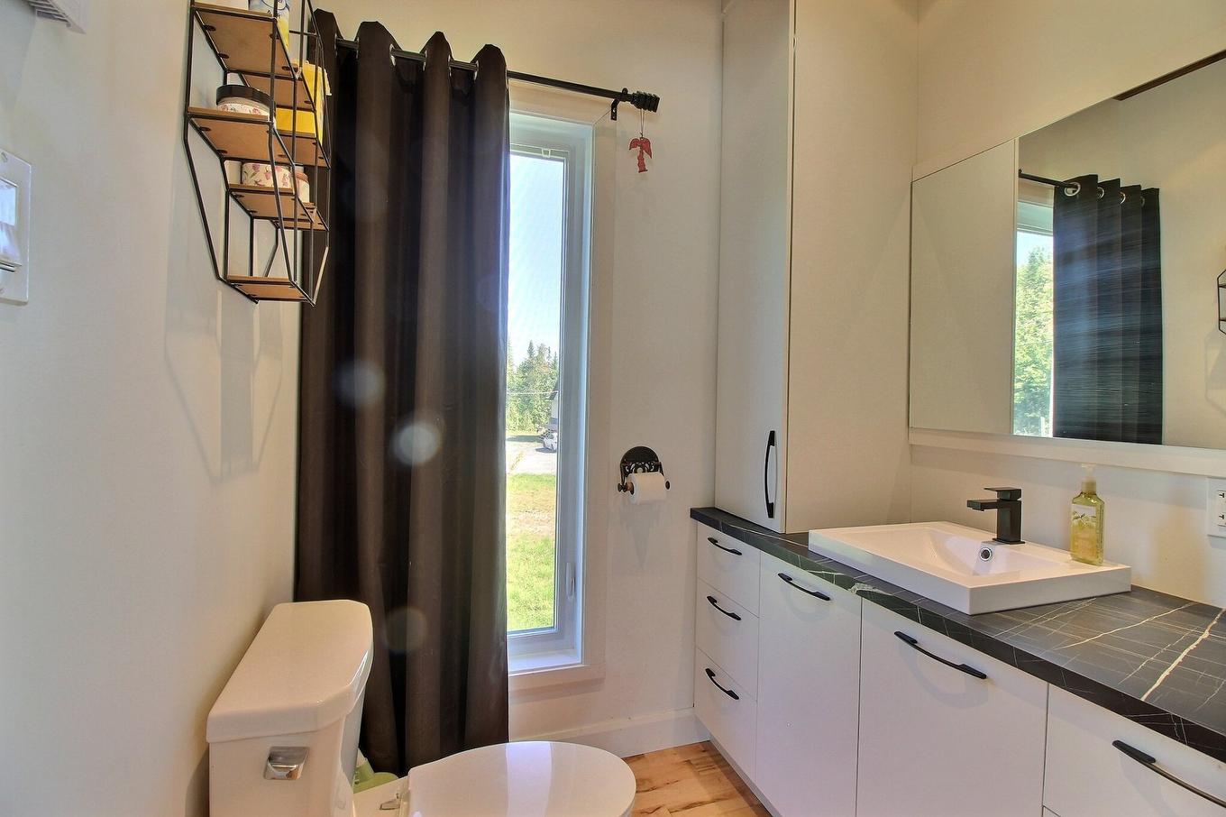 Powder room - 812 Rg Watford, Saint-Benjamin, QC - Indoor Photo Showing Bathroom