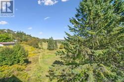 Uninterrupted views of nature from the balcony -