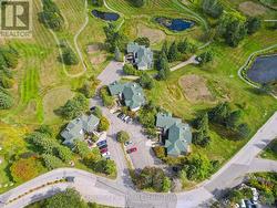 Surrounded by green! -