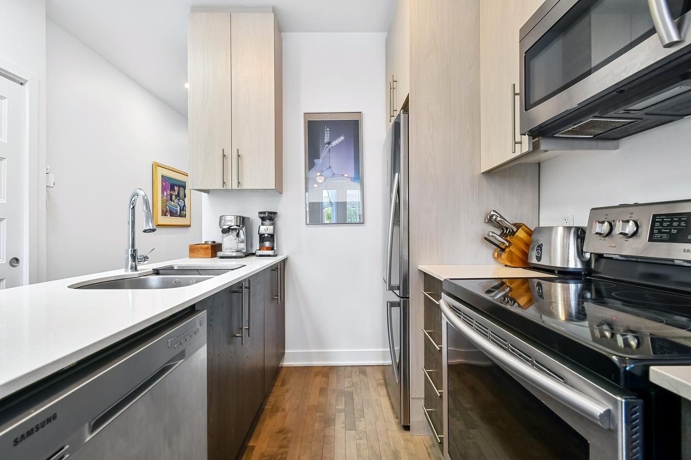 Kitchen - 302-3551 Rue St-Dominique, Montréal (Le Plateau-Mont-Royal), QC - Indoor Photo Showing Kitchen With Double Sink
