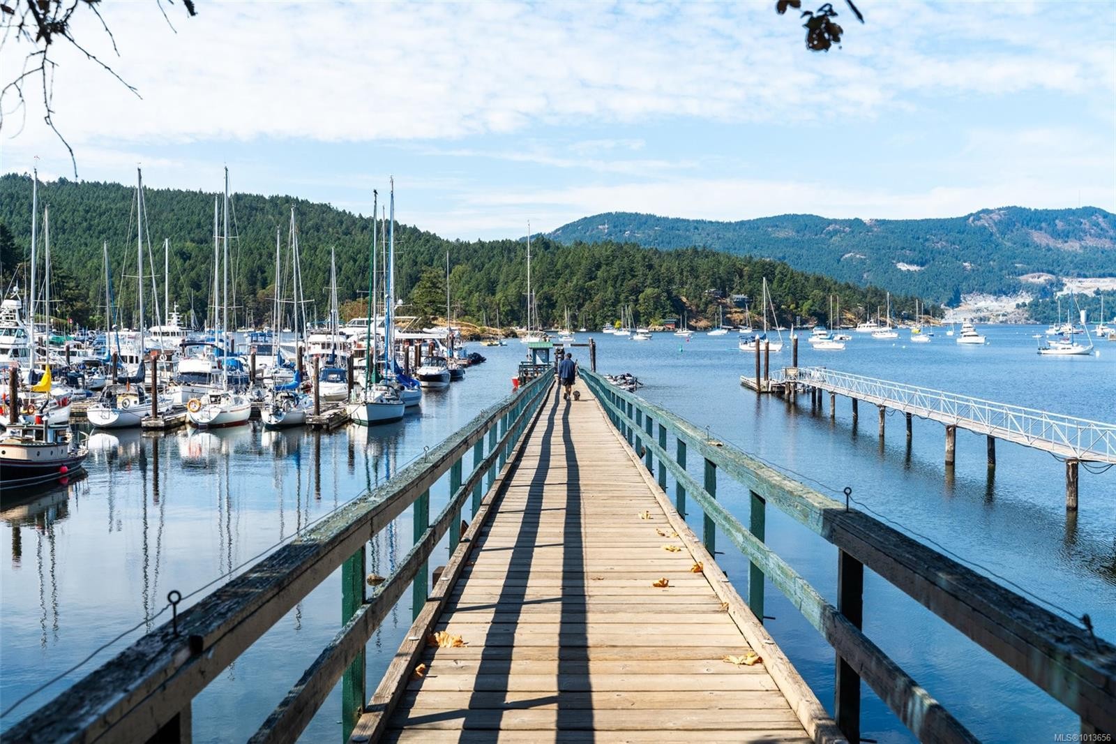 1208 Marchant Rd, Central Saanich, BC