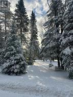 315 SOMERVILLE 11 CONCESSION Kawartha Lakes, ON K0M 1C0