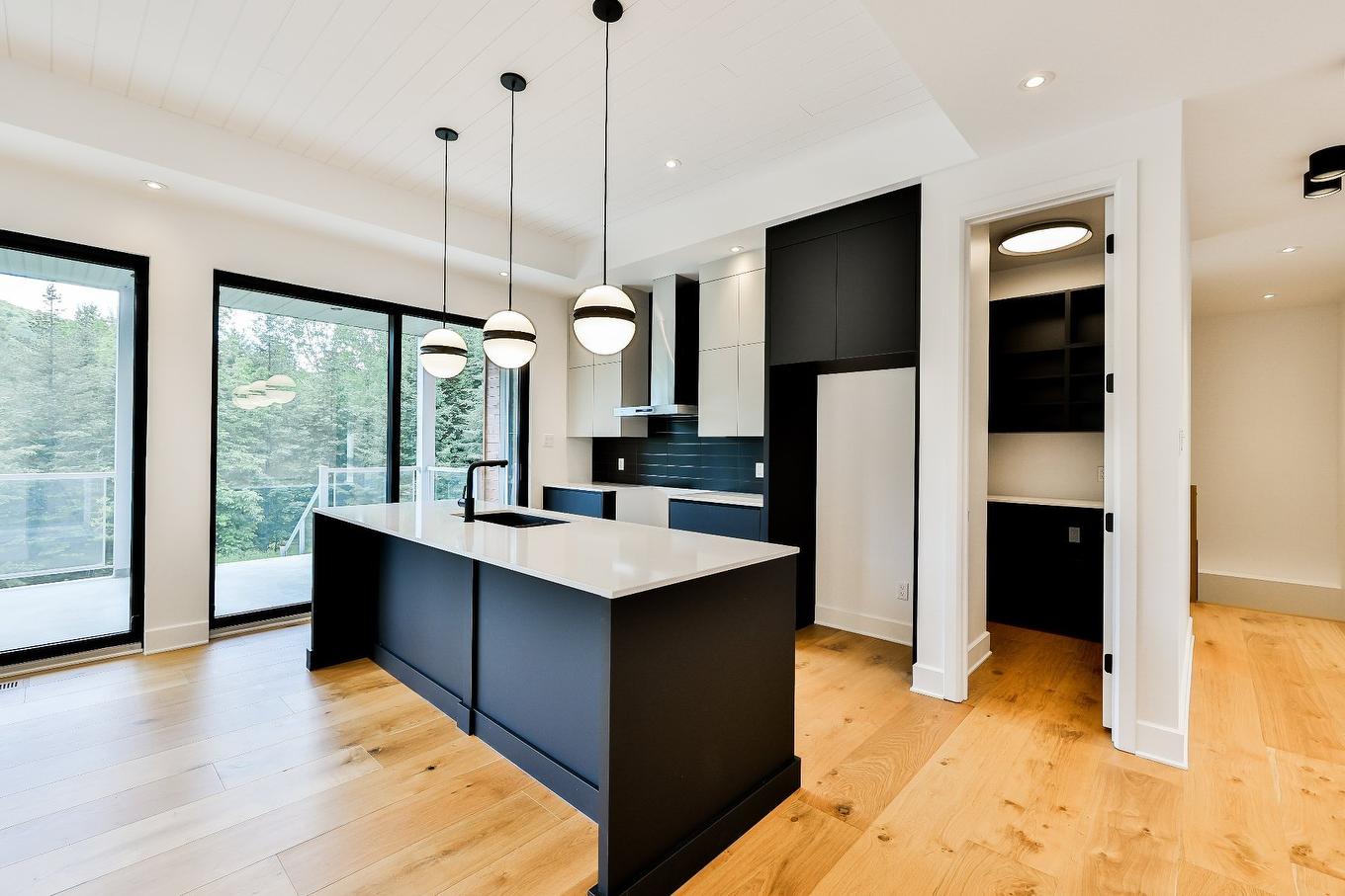 Kitchen - 52 Ch. De La Rivière, Piedmont, QC - Indoor Photo Showing Kitchen With Upgraded Kitchen