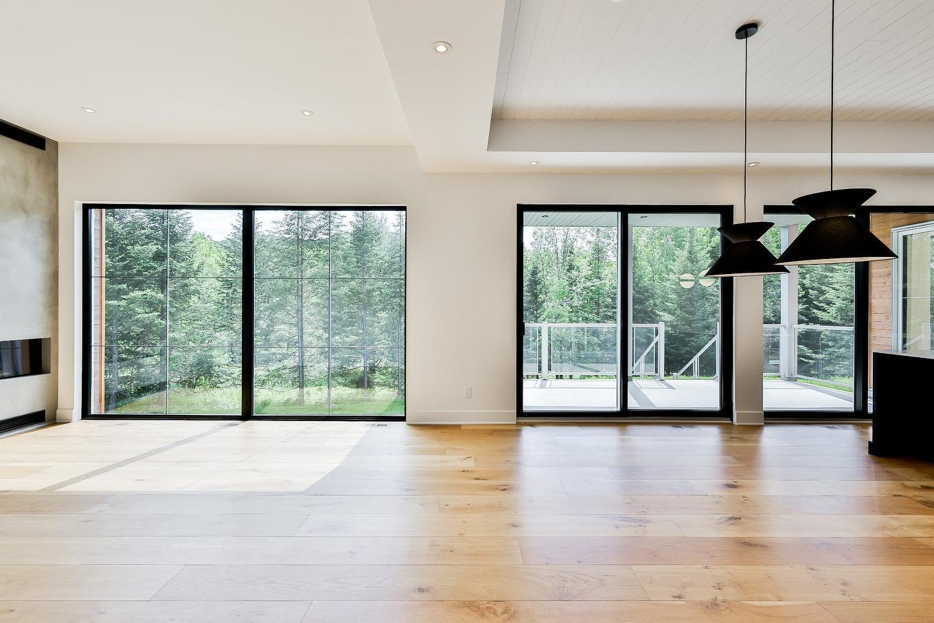 Overall view - 52 Ch. De La Rivière, Piedmont, QC - Indoor