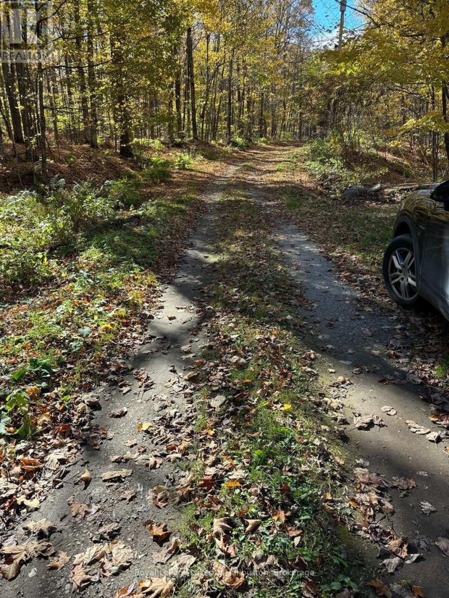 8 Cannonball Lane, Minden Hills (Snowdon), ON