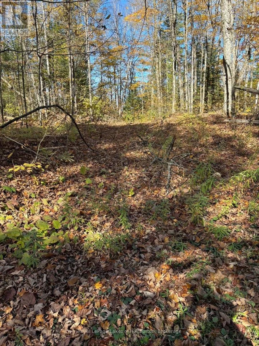 8 Cannonball Lane, Minden Hills (Snowdon), ON