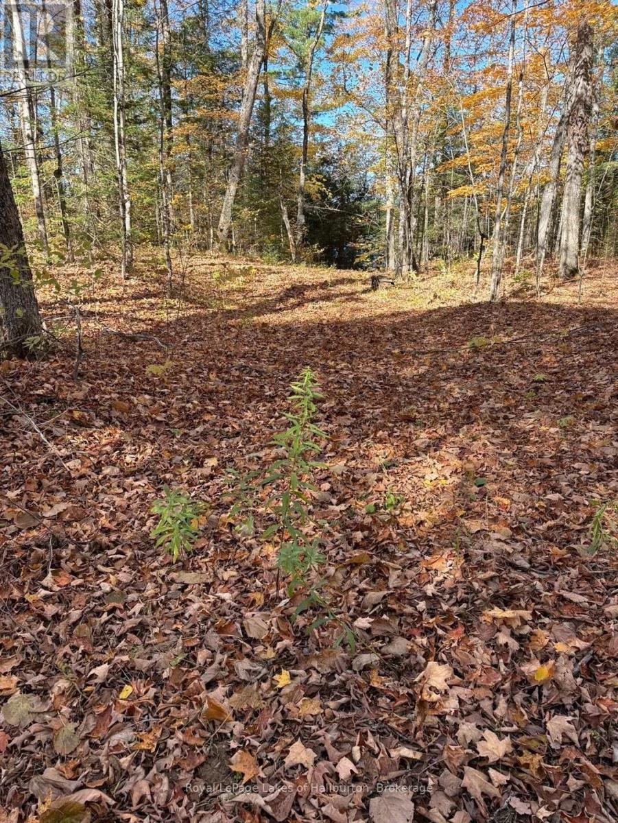 8 Cannonball Lane, Minden Hills (Snowdon), ON