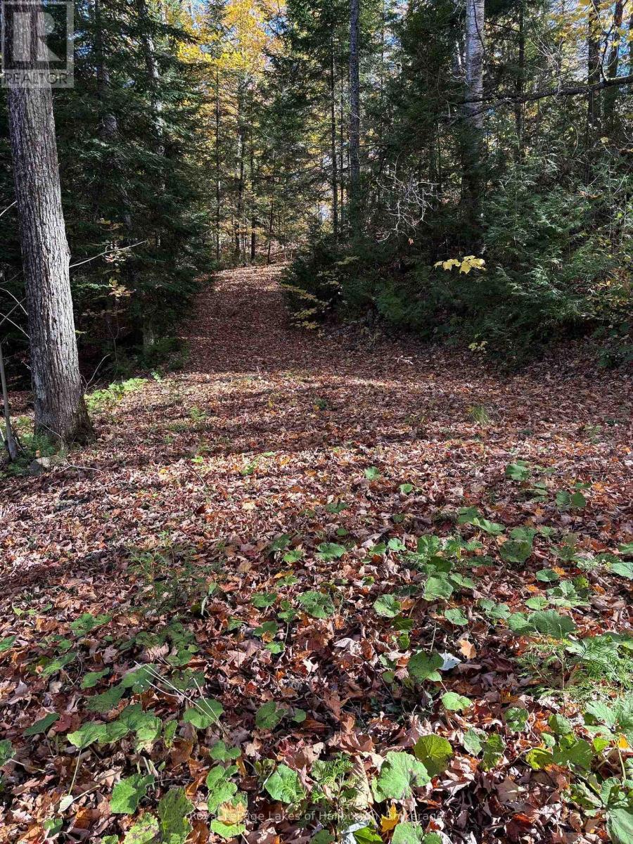 8 Cannonball Lane, Minden Hills (Snowdon), ON