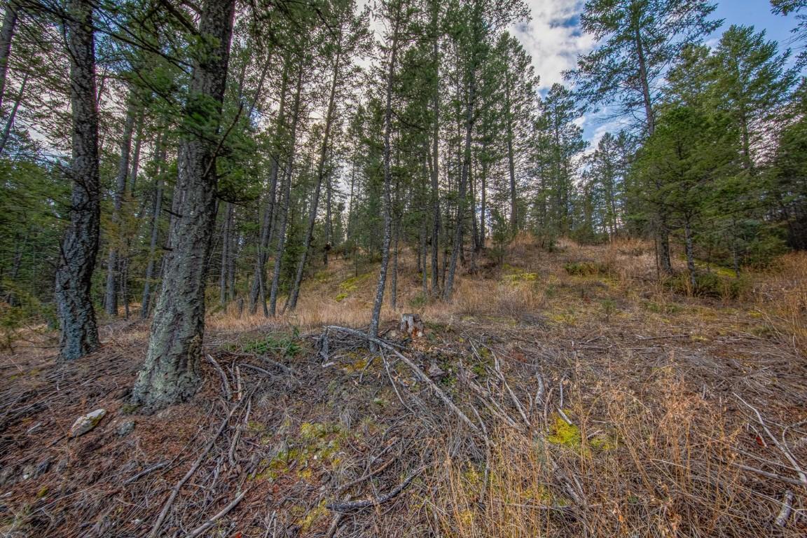 Lot 24 Valley Vista Way, Fairmont Hot Springs, BC - Outdoor With View