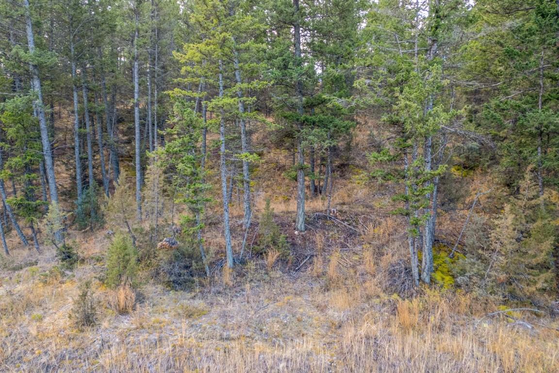 Lot 24 Valley Vista Way, Fairmont Hot Springs, BC - Outdoor With View