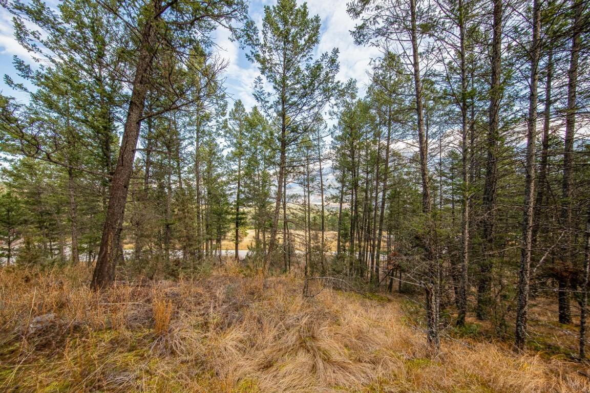 Lot 24 Valley Vista Way, Fairmont Hot Springs, BC - Outdoor With View