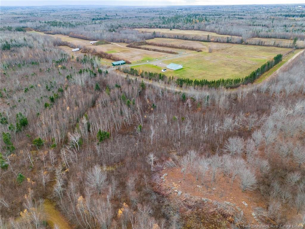 Lot Renauds Mills Rd, Saint-Antoine, NB