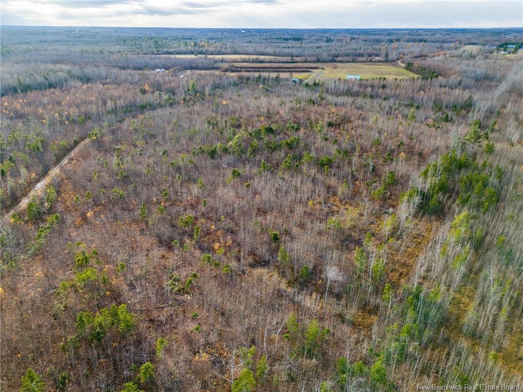 Lot Renauds Mills Rd, Saint-Antoine, NB