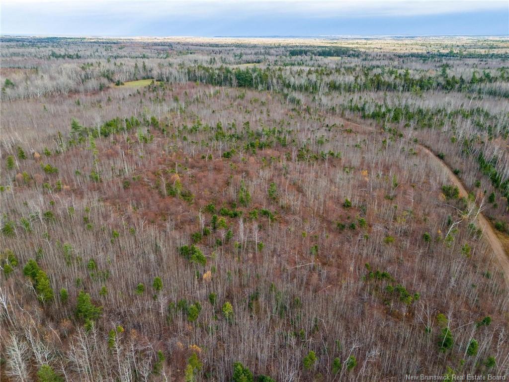 Lot Renauds Mills Rd, Saint-Antoine, NB