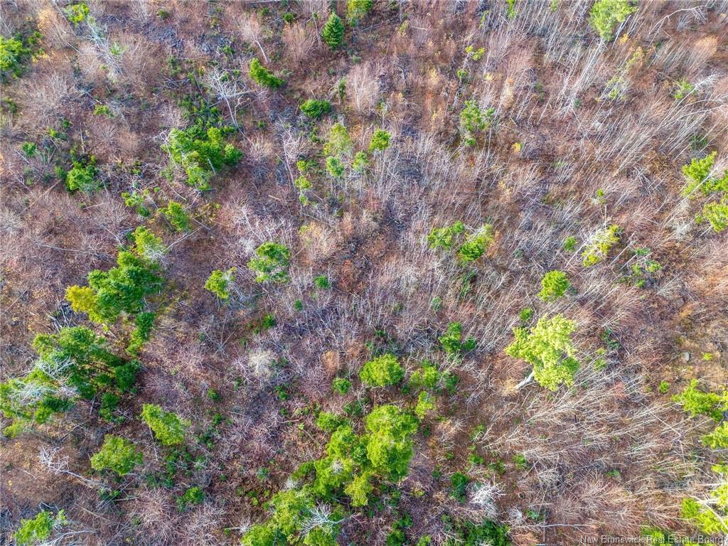 Lot Renauds Mills Rd, Saint-Antoine, NB