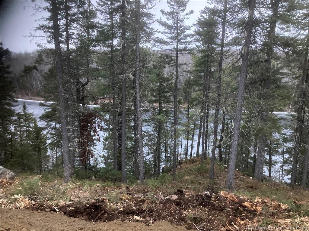 Lot 2016-9 Portage Rd, Nepisiguit Falls, NB