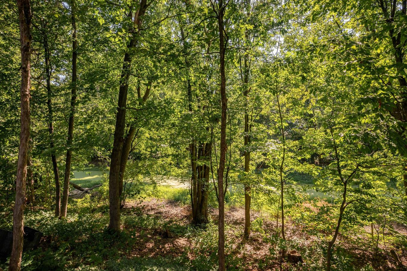 Water view - 122 Rue Jean-De Ronceray, Carignan, QC - Outdoor