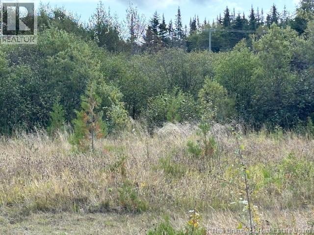 0 Latimore Lake Road, Saint John, NB