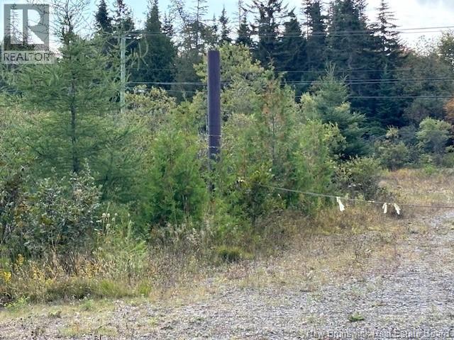 0 Latimore Lake Road, Saint John, NB