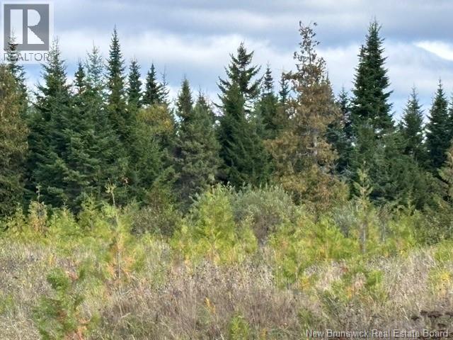 0 Latimore Lake Road, Saint John, NB